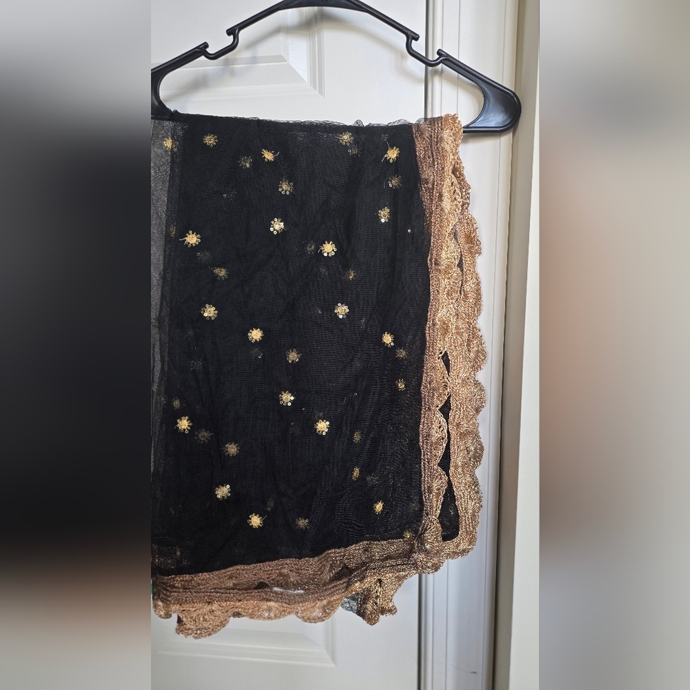 Black Golden Sharmily Lehenga Choli Set with Sequin Blouse - Picture 14 of 14
